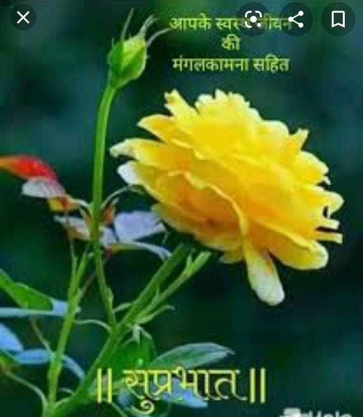 Dosto Ke Liye Good Morning Wishes - Dosto Ke Liye Good Morning Wishes